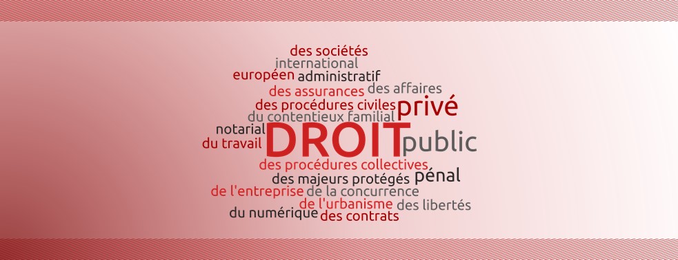You are currently viewing Actualité du droit des sociétés